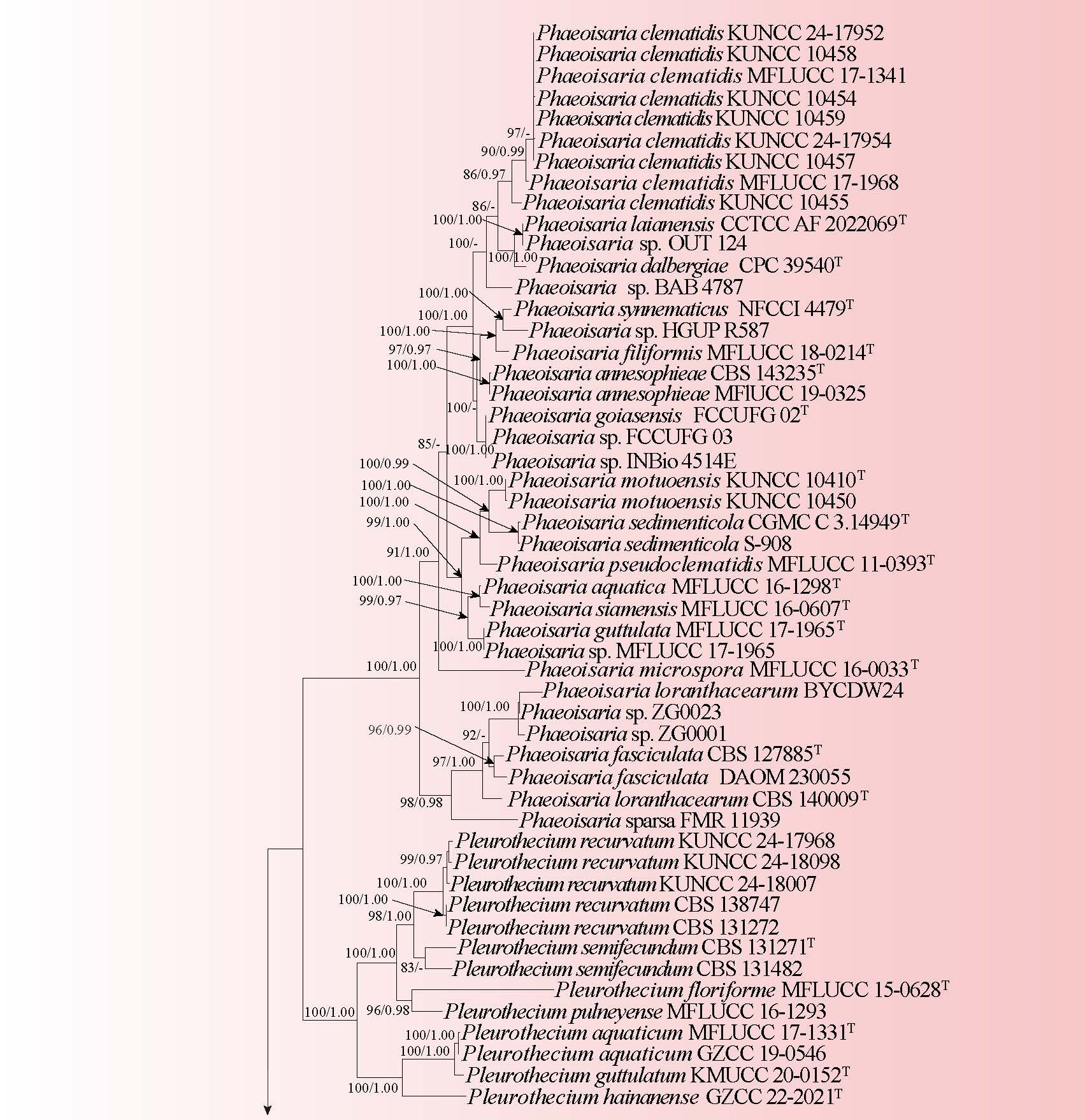 Figure 95